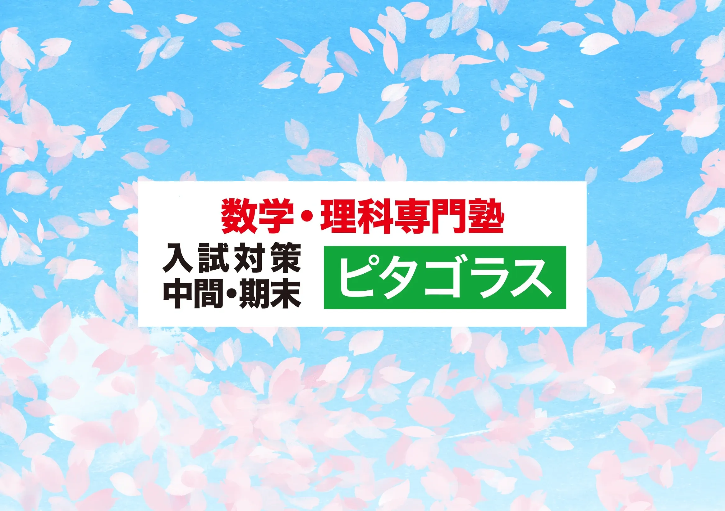合格実績(2023-2026年度)